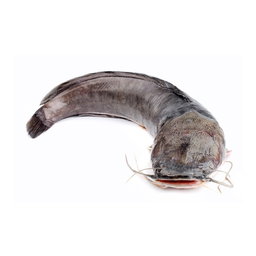 Ikan Keli Bersih (2kg / pkt)
