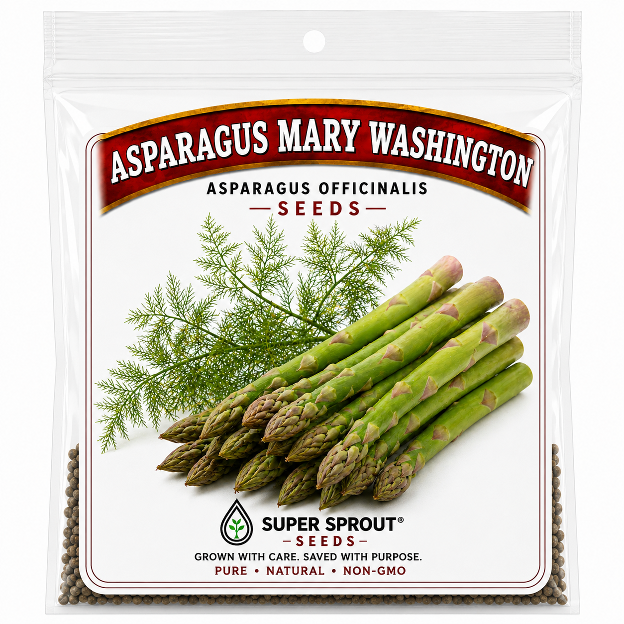 ASPARAGUS MARY WASHINGTON x 10 seeds _1