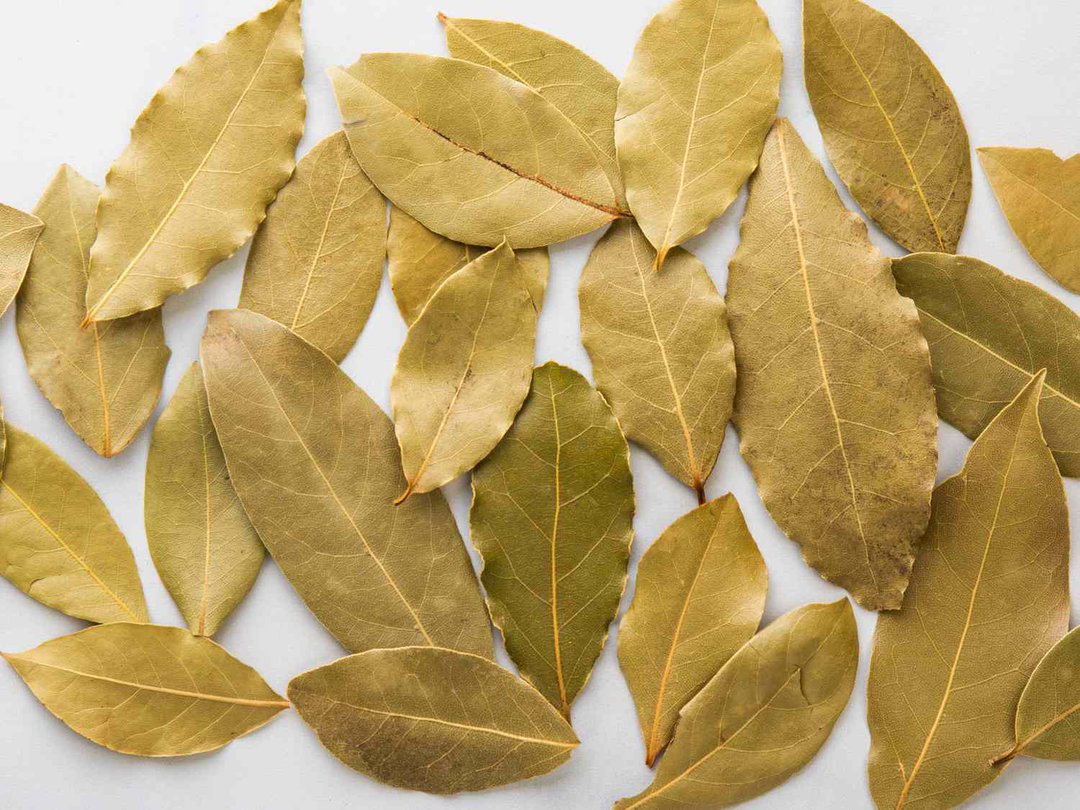 Herbs & Spices - Dried Bay Leaves (250gm / pkt)