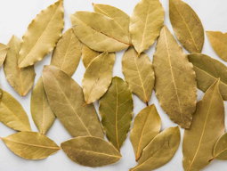 Herbs & Spices - Dried Bay Leaves (250gm / pkt)