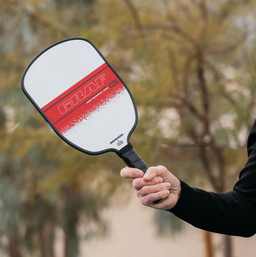 Joola Agassi/Graf Champion Pickleball Set
