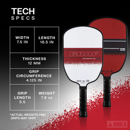 Joola Agassi/Graf Champion Pickleball Set