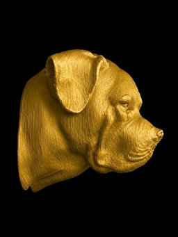 Boerboel  Bust Wall Hook       