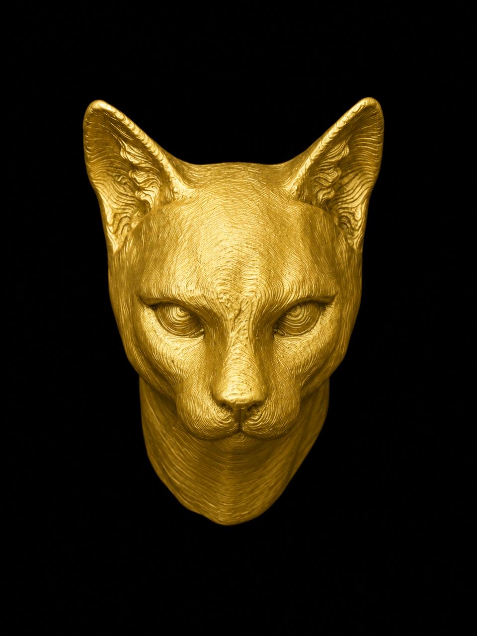Huis Kat Bust Life Size