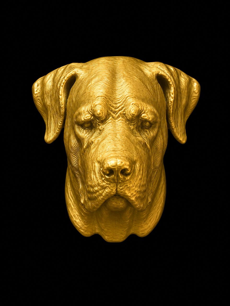 Gift Box Animal Bust Charms Boerboel