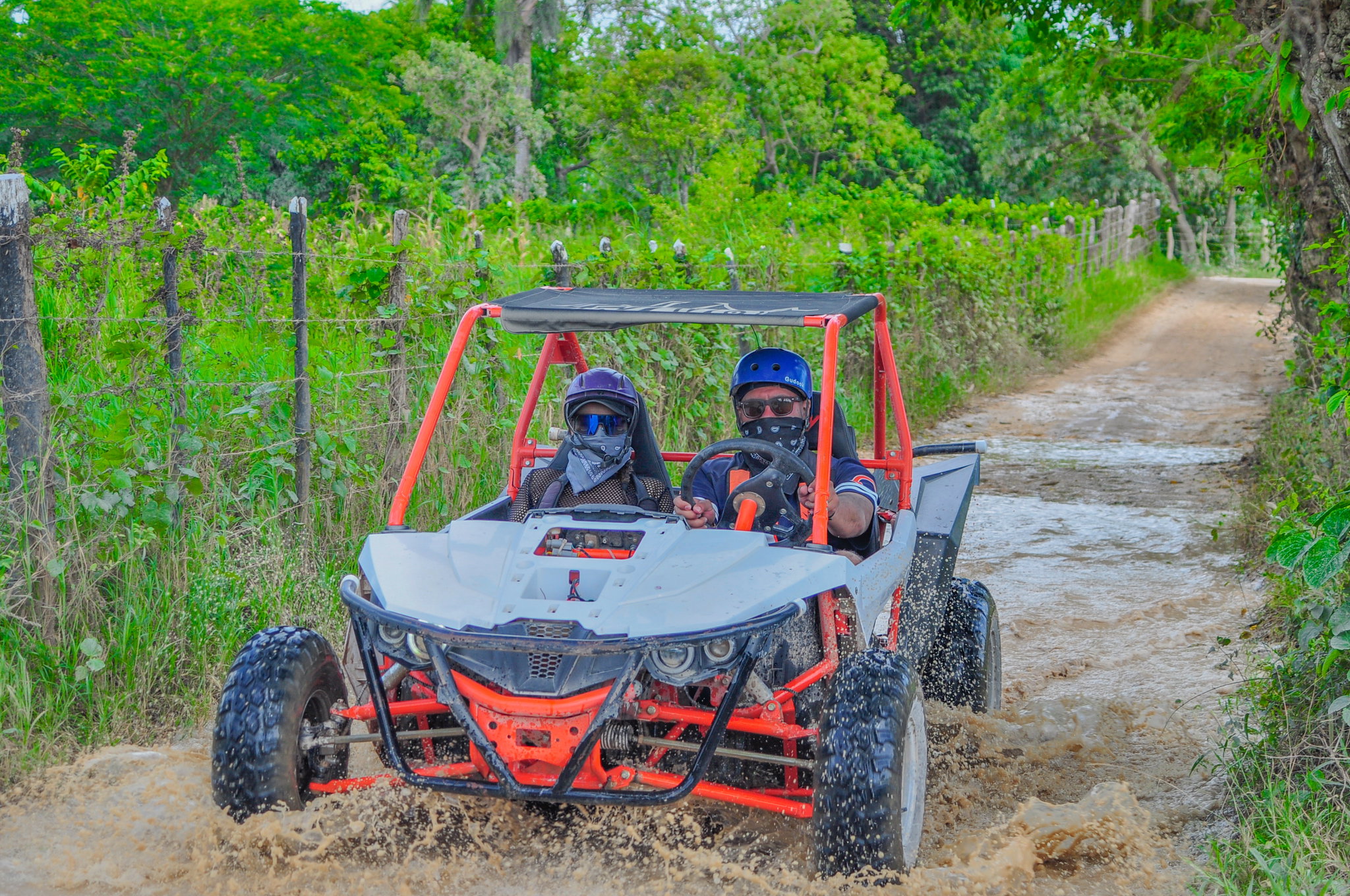 BUGGY KAYO_2
