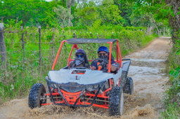 BUGGY KAYO