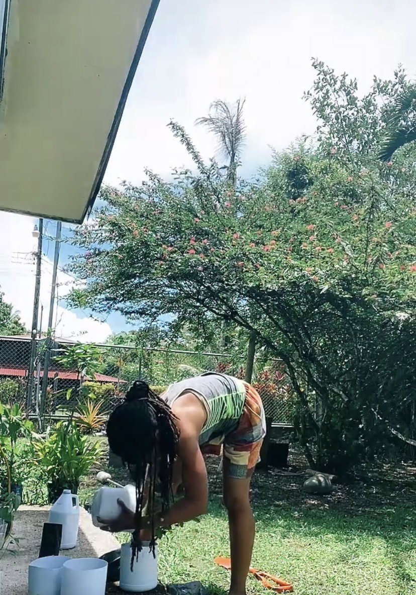 Tree Planting _0