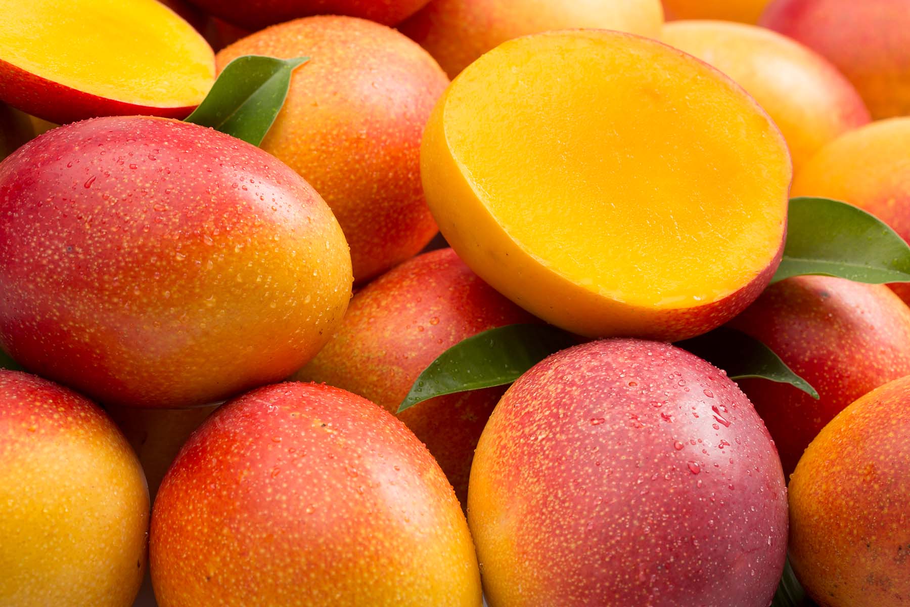 Mango_0