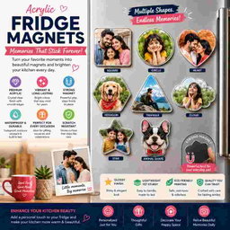 Photo Magnets - Assorted Shapes (Set Of 7)