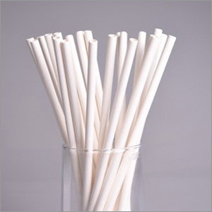 Paper Straw 6mm w/o Wrapper (pkt)_0