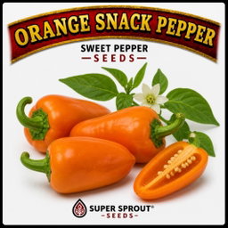 Easy spring garden heirloom seeds x 12 packs 
