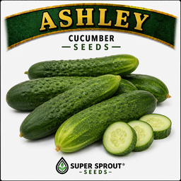 Easy spring garden heirloom seeds x 12 packs 