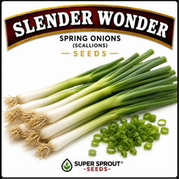 Easy spring garden heirloom seeds x 12 packs 