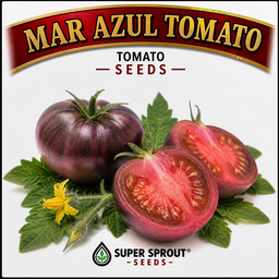 Easy spring garden heirloom seeds x 12 packs 
