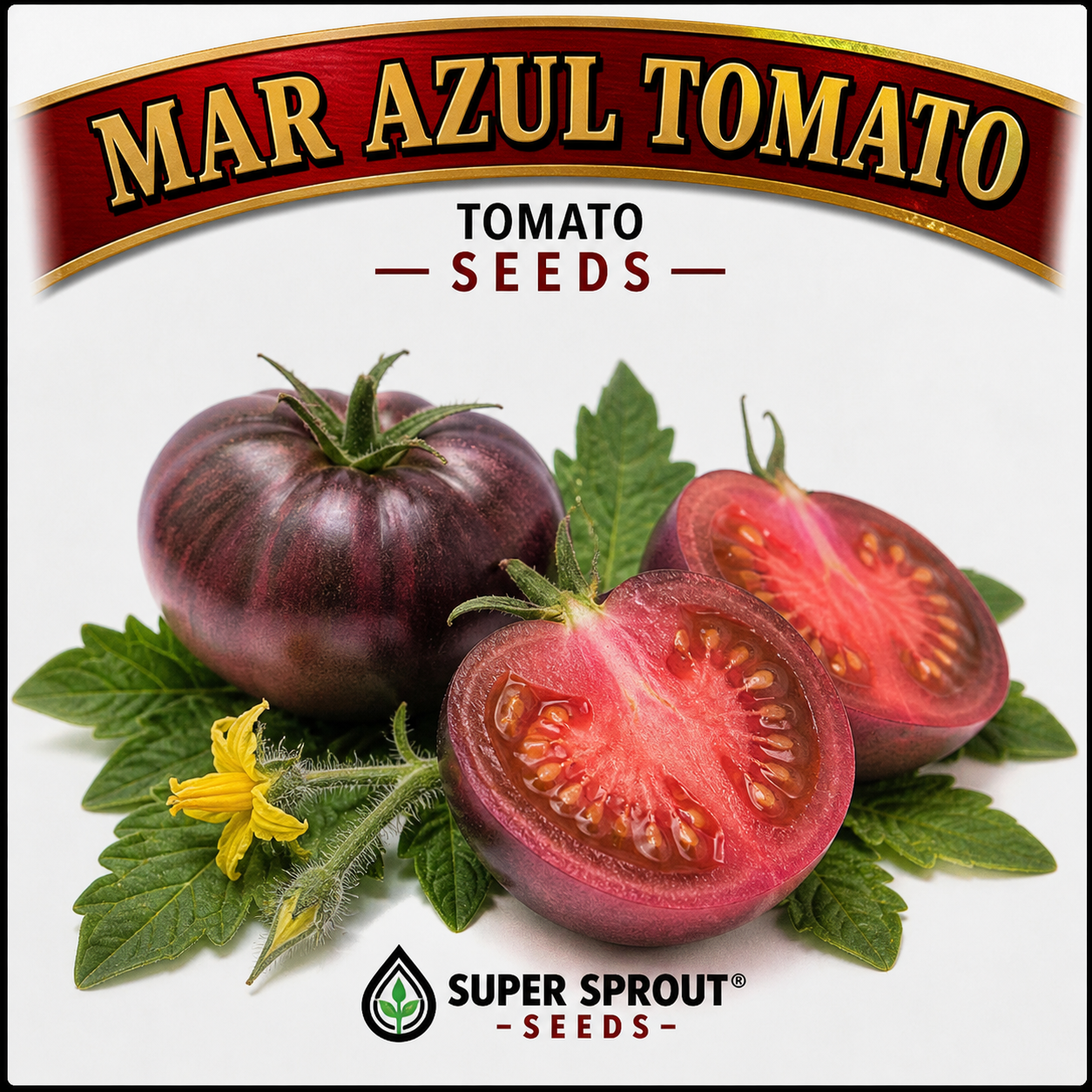 Easy spring garden heirloom seeds x 12 packs _9