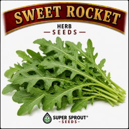 Easy spring garden heirloom seeds x 12 packs 