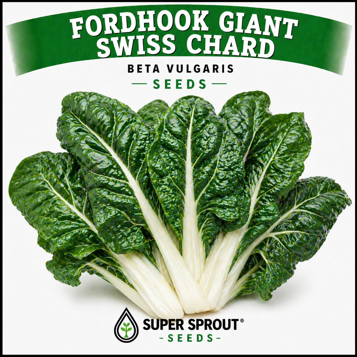 Easy spring garden heirloom seeds x 12 packs _10