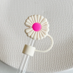 TOPPERS POUR PAILLE 