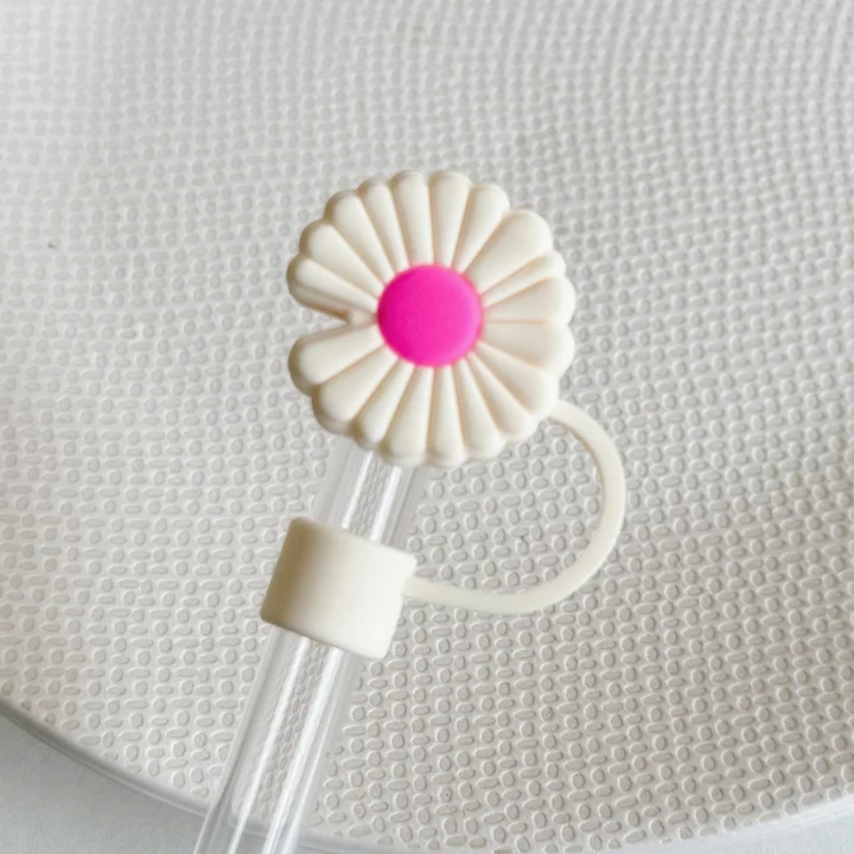 TOPPERS POUR PAILLE _30