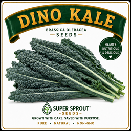 Dinosaur kale x 25+ seeds 