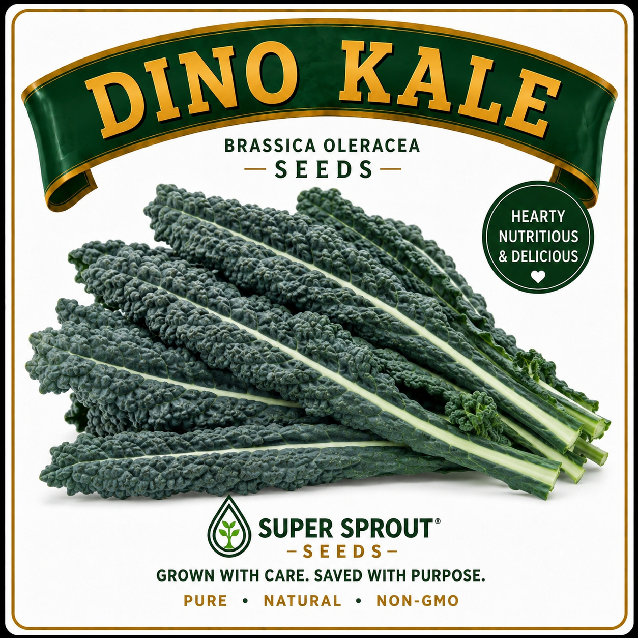 Dinosaur kale x 25+ seeds 