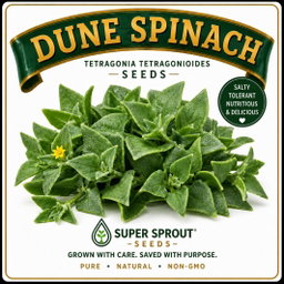 🌱DUNE SPINACH, NEW ZEALAND SPINACH, DUINESPINASIE🌱 x 8 seeds