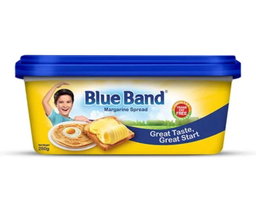 BLUE BAND MARGARINE 250g x 48
