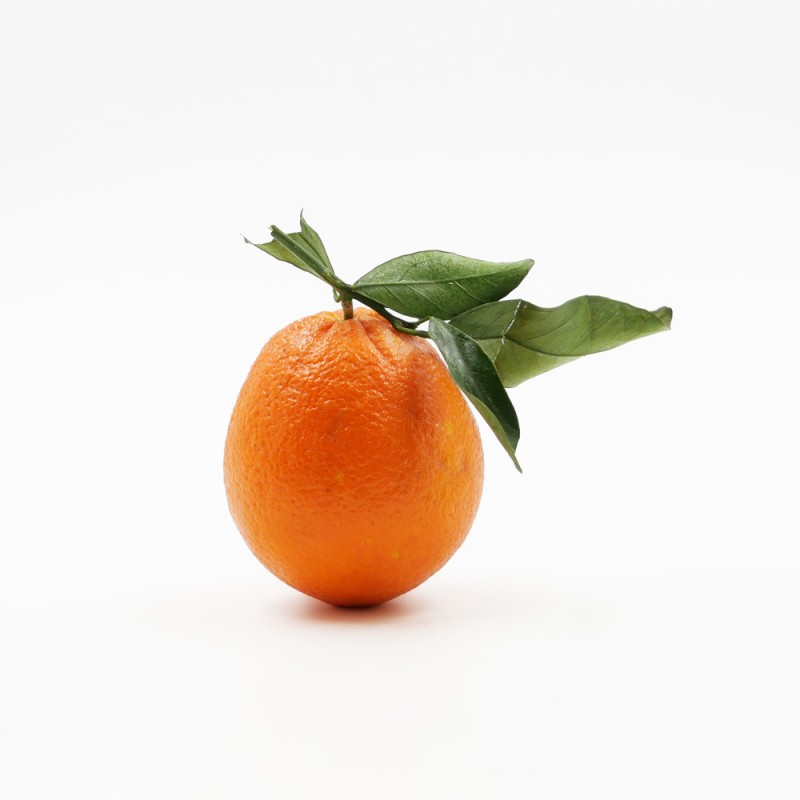Oranges à feuilles_0