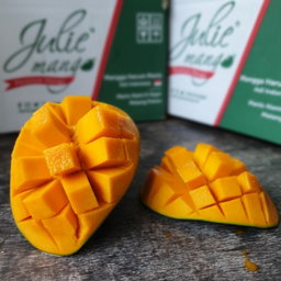 Mangga Matang Pohon
