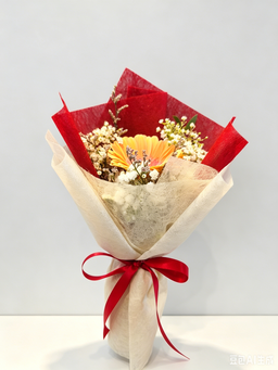 1 Stalk Gerbera VP