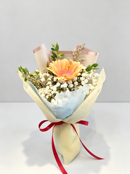 1 Stalk Gerbera VP