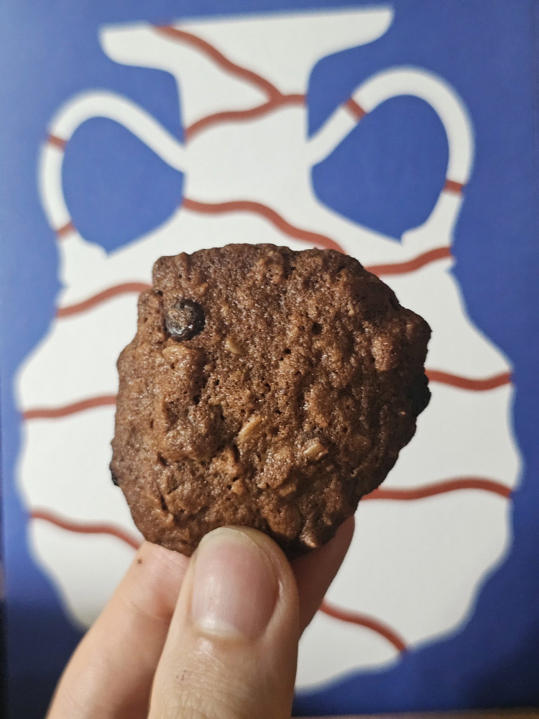 Lactation Cookies (100g)