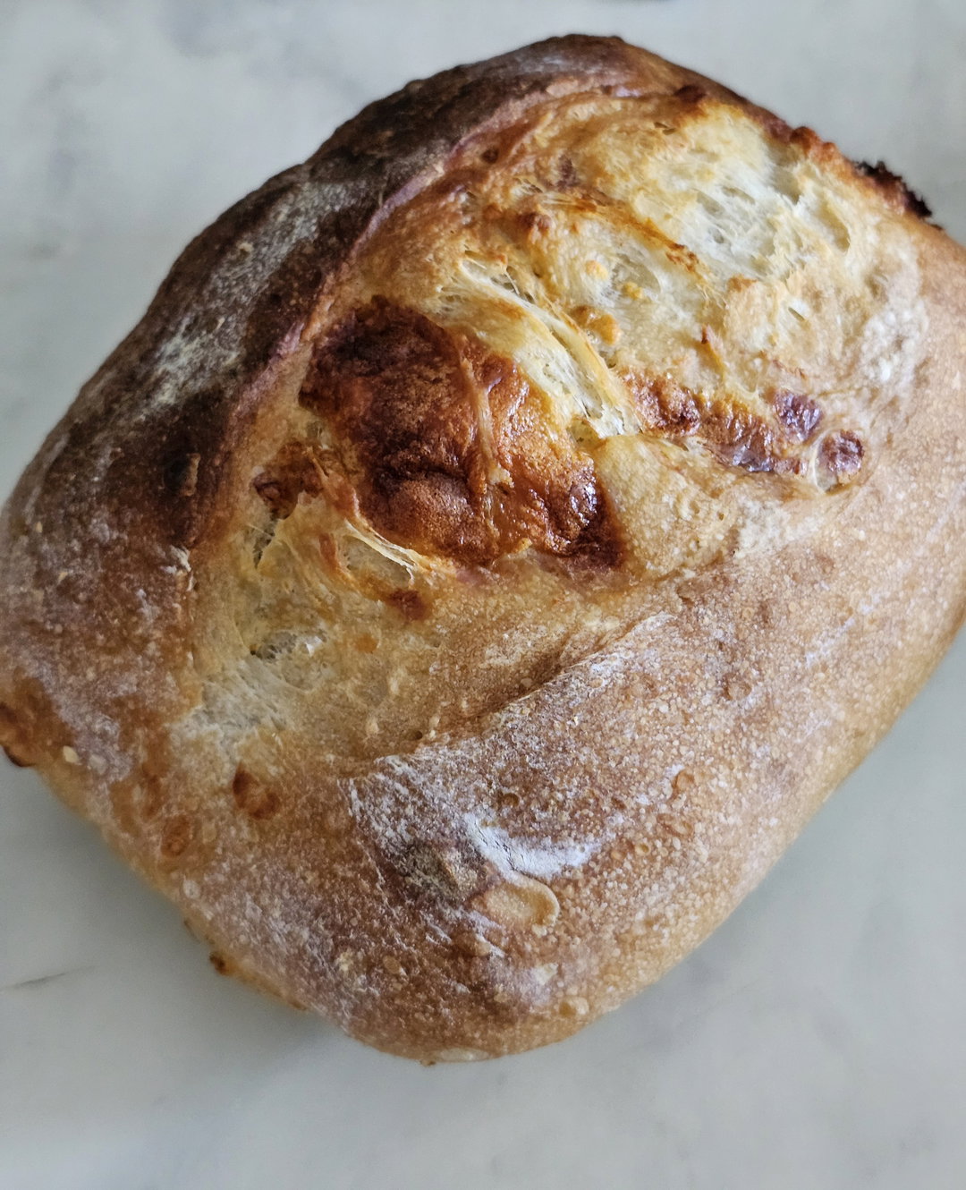 Cheddar Sourdough