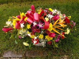 Casket spray (w/ boutonniere or corsage)