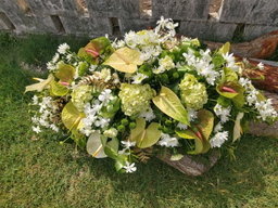 Casket spray (w/ boutonniere or corsage)