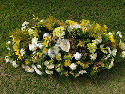 Casket spray (w/ boutonniere or corsage)