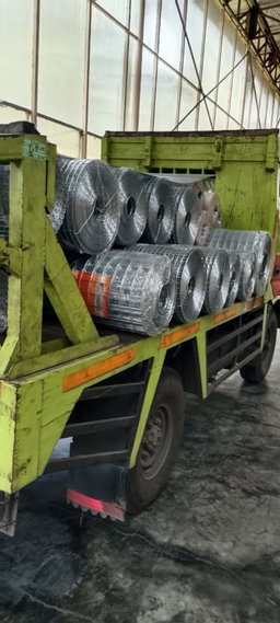 Galvanish Mesh 50x50