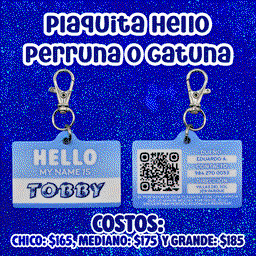 Plaquita Hello