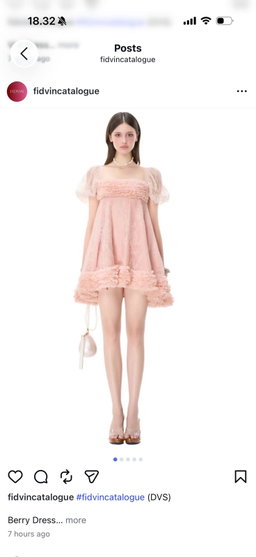 DVS - BERRY DRESS
