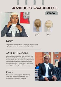 Amicus Package 