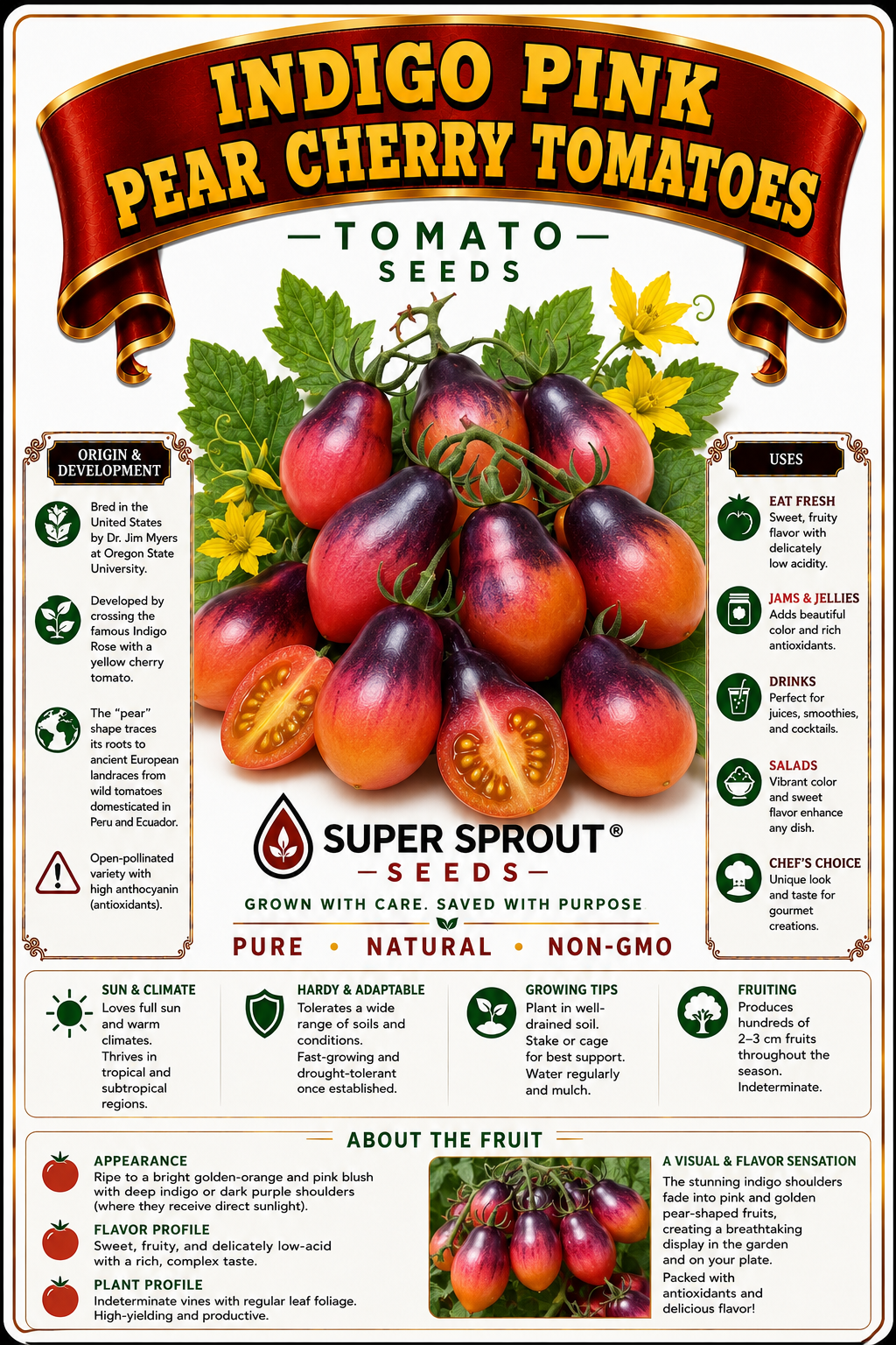 🍅INDIGO PINK PEAR DROPS🍅 x 10 seeds _1