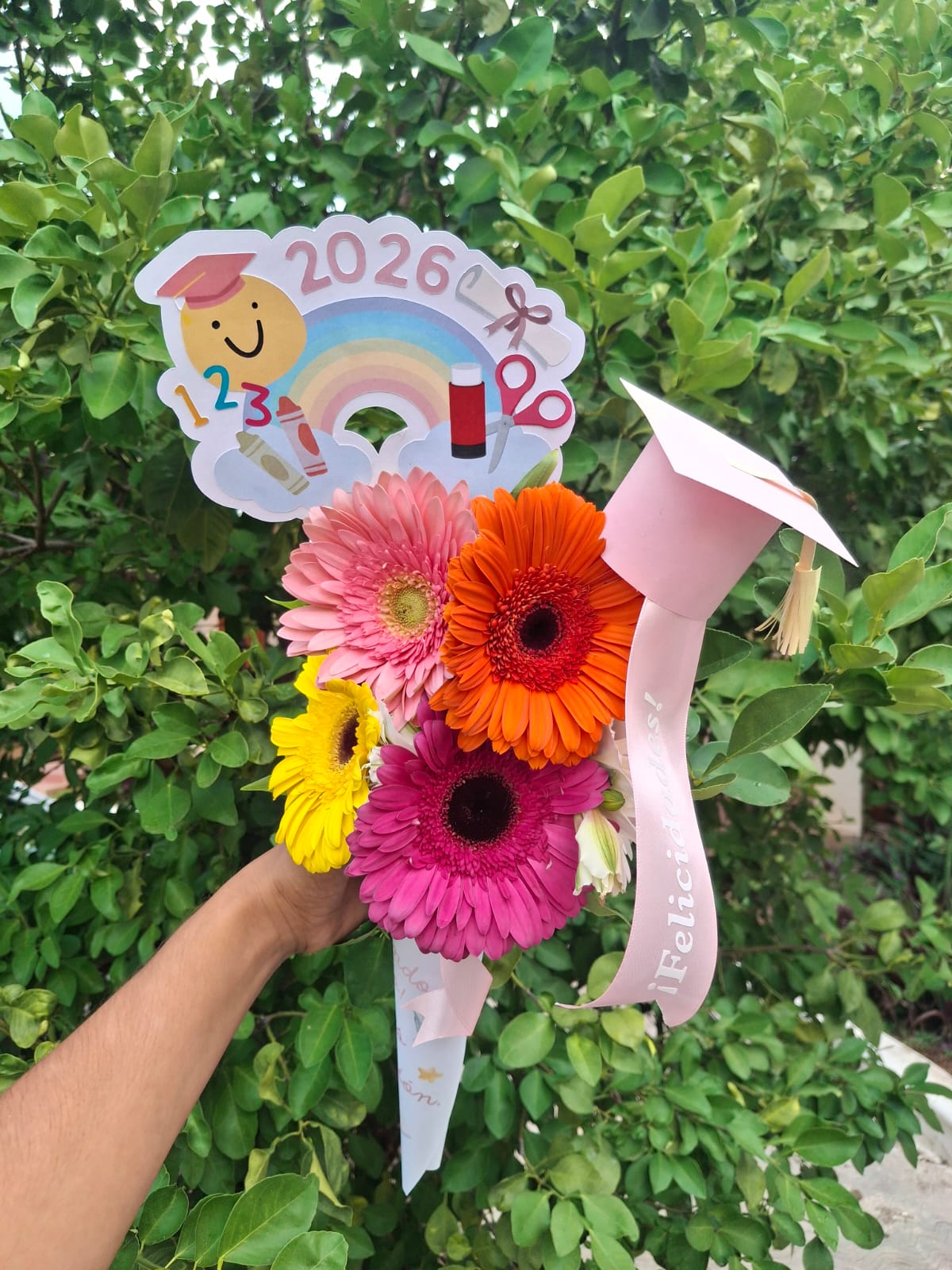 Conito grad 5 gerberas Topper y Birrete
