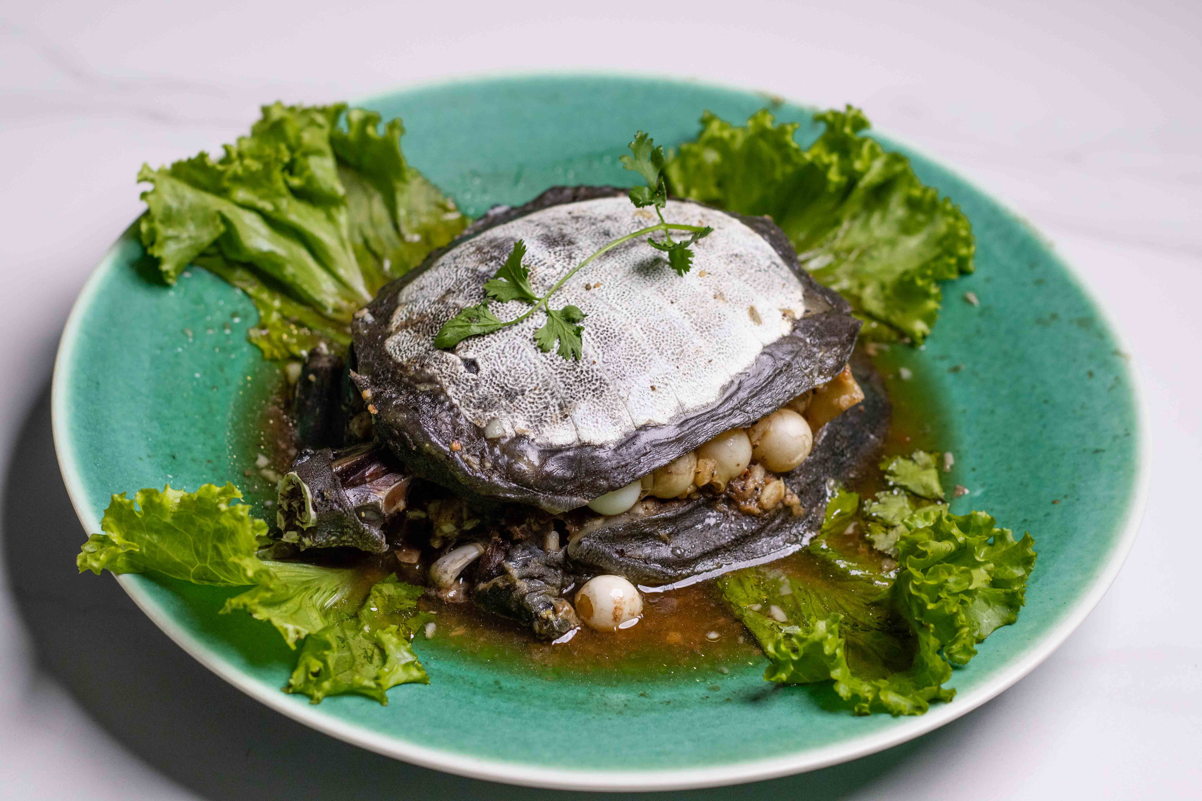 ក​ន្ធា​យ​​ចំ​​ហុ​យ​​ខ្ទឹម​​ស_2