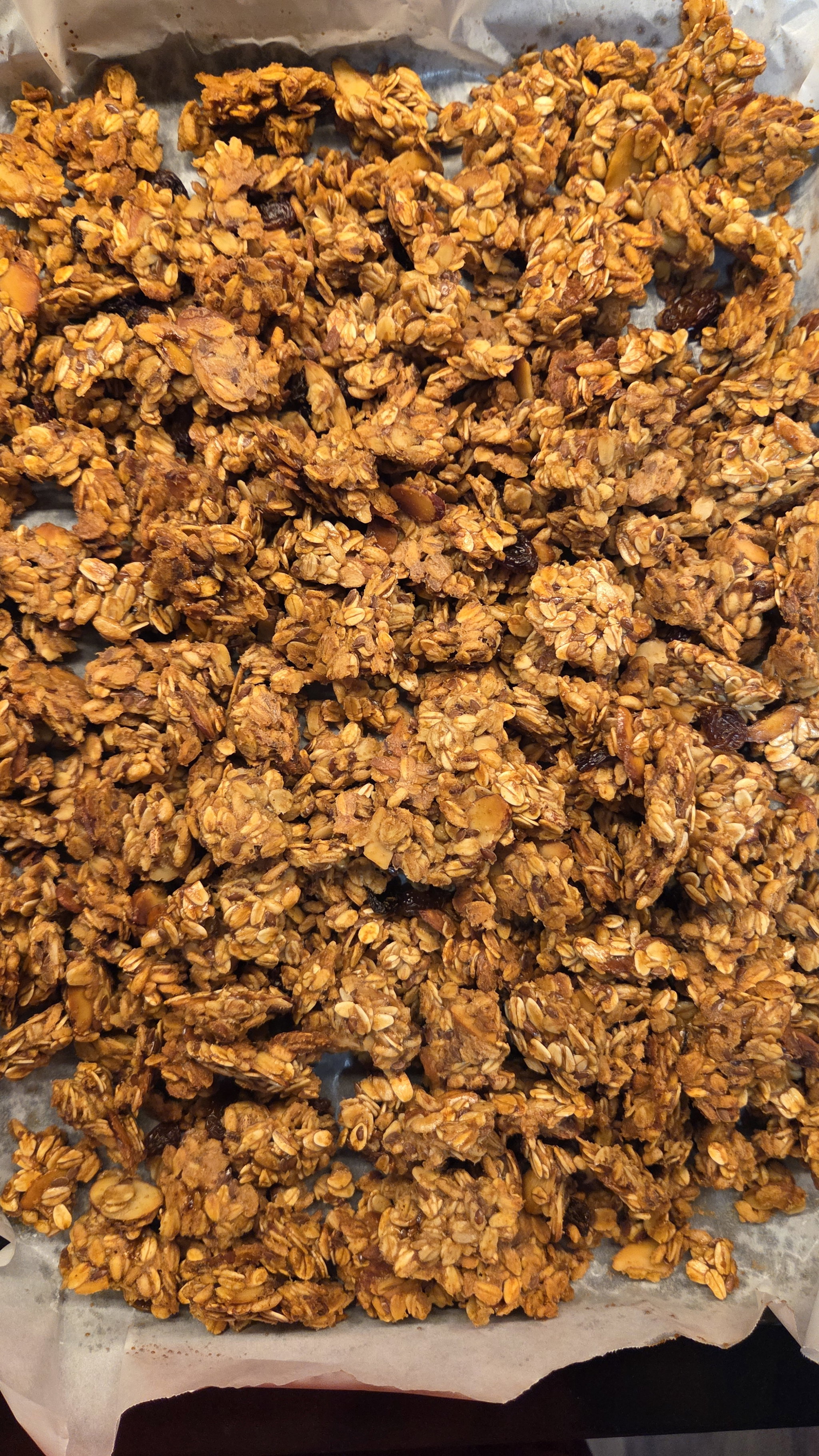 Honey Granola Bites (340g)_0