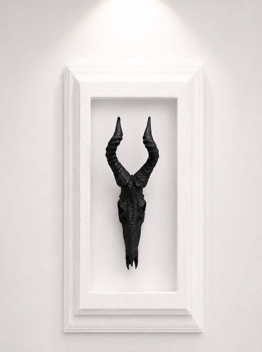 Box Frames Animal Skulls Eland
