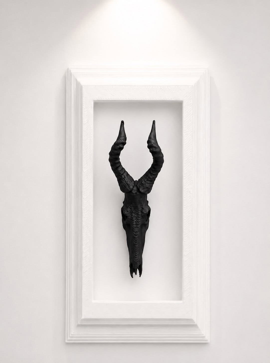 Box Frames Animal Skulls Nyala_0