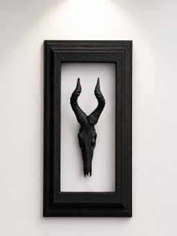 Box Frames Animal Skulls Nyala