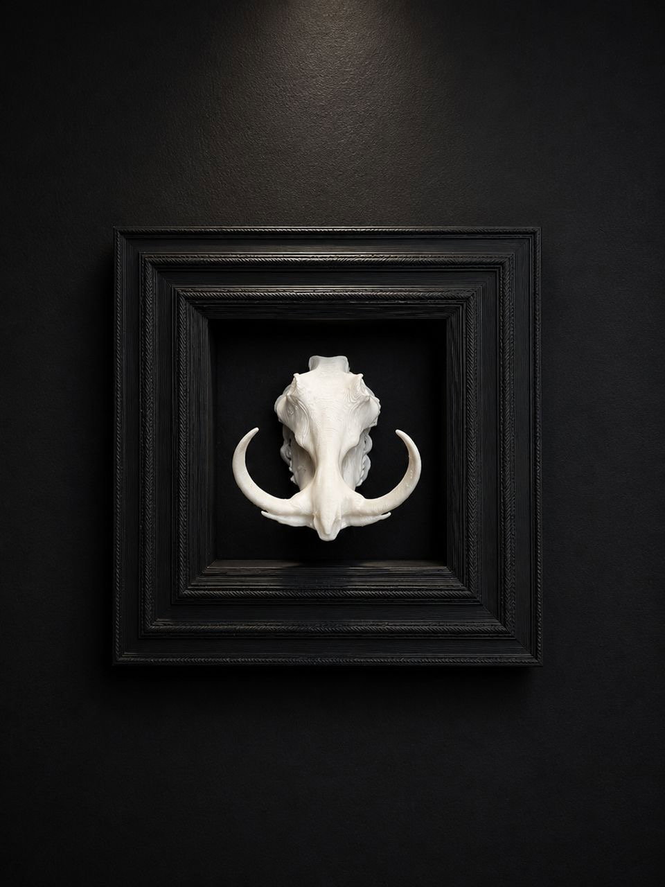 Box Frames Animal Skulls Warthog  Bust_1
