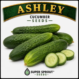 🥒ASHLEY CUCUMBER🥒 x 10 organic seeds